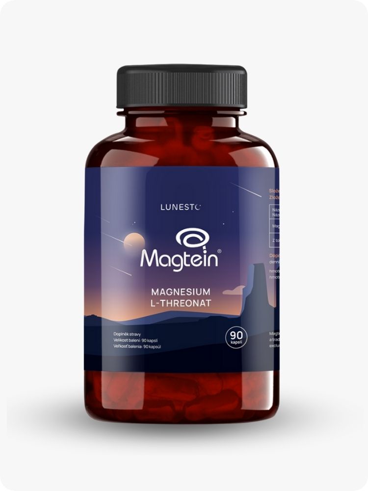 Vstřebatelnost Magtein